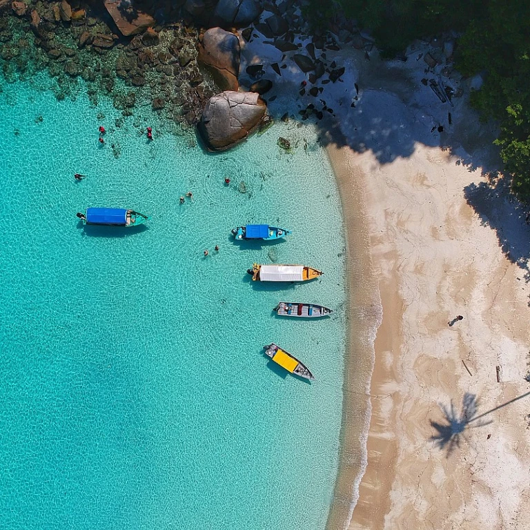 Billet d avion ile de la réunion : comment trouver les meilleures offres